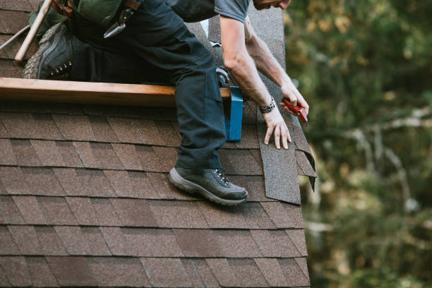 Best Roof Gutter Cleaning  in Milan, TN